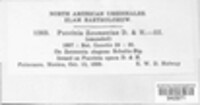 Image Associated With the Occurence